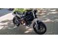 DUCATI MONSTER 1100 (DUAL SPARK) 2012/6 - 1
