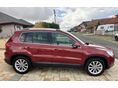 VOLKSWAGEN TIGUAN 2008/6 - 5