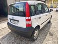 FIAT PANDA 2011/5 - 3