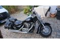 SUZUKI VL 1500 (INTRUDER) 2002/7 - 7