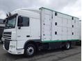 DAF 2008/1 - 1
