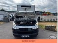 IVECO 2014/1 - 12