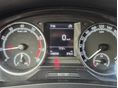 SKODA RAPID 2018/6 - 12