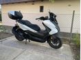 HONDA NSS 125 FORZA 2026/3 - 2