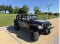 JEEP WRANGLER 2016/10 - 10