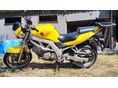 SUZUKI SV 650 S 2004 - 2