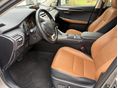 LEXUS NX 2021/1 - 7