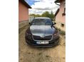 SKODA SUPERB 2.0 TSI L&K 4x4 DSG