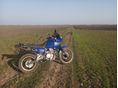 HONDA NX 650 DOMINATOR 1992 - 2