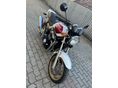 HONDA CB 1300 1999/6 - 2