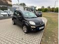 FIAT PANDA 2013/4 - 7
