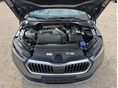 SKODA OCTAVIA 2023/9 - 20