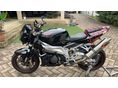 APRILIA TUONO 1000 2008/6 - 2