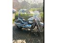 SUZUKI VL 800 (INTRUDER) 2003/5 - 2