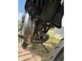 YAMAHA DT 125 2001/8 - 9