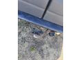 OPEL MOVANO 2005/8 - 11
