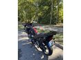 SUZUKI GSF 600 S (BANDIT) 2006/3 - 2