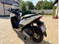 HONDA FORZA 2017 - 4