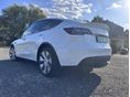 TESLA MODEL Y 2023/4 - 5