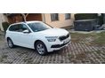 SKODA KAMIQ 1.0 TSI Monte Carlo Magyar szervizkönyv karcmentes nagyon szép !