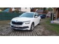 SKODA KAMIQ 2021 - 6