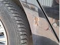 FIAT BRAVO 2008 - 4