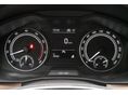 SKODA SCALA 2021/7 - 8