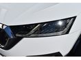 SKODA OCTAVIA 2020/10 - 9