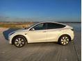 TESLA MODEL Y 2024/6 - 2