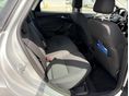 FORD FOCUS 2015/8 - 13