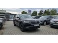 SKODA KODIAQ 2020/11 - 1