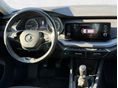 SKODA OCTAVIA 2021/5 - 7