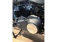 HARLEY-DAVIDSON FAT BOB 2024/1 - 5