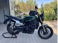 BENELLI LEONCINO 800 2024/11 - 2