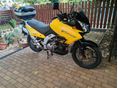 SUZUKI DL 1000 2002/6 - 3