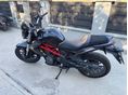 BENELLI BN 302 2017 - 2