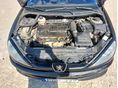 PEUGEOT 206 2001/11 - 6