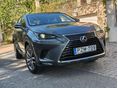 LEXUS NX 300h Prestiege CVT