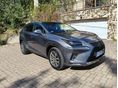 LEXUS NX 2017/6 - 2
