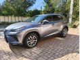 LEXUS NX 2017/6 - 3