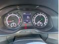 SKODA KODIAQ 2020/5 - 4