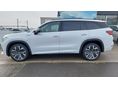 SKODA KODIAQ 2026 - 8