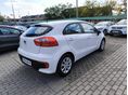 KIA RIO 2015/12 - 4