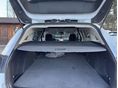 FORD FOCUS 2019/3 - 8