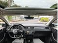 SKODA RAPID 2017/5 - 6