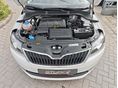 SKODA RAPID 2017/5 - 12