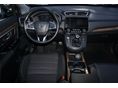 HONDA CR-V 2020/5 - 7