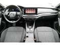 SKODA OCTAVIA 2022/7 - 7