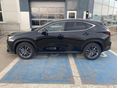 LEXUS NX 2026 - 3