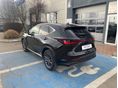 LEXUS NX 2026 - 6